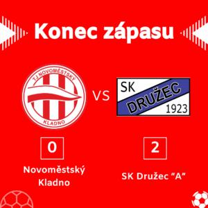 Druzec vysledkovy servis